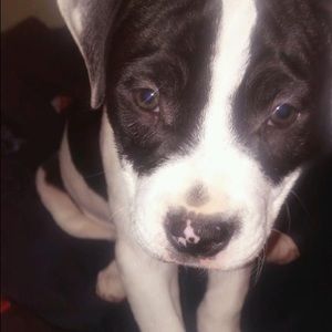 Meet your Posher, Sabrina